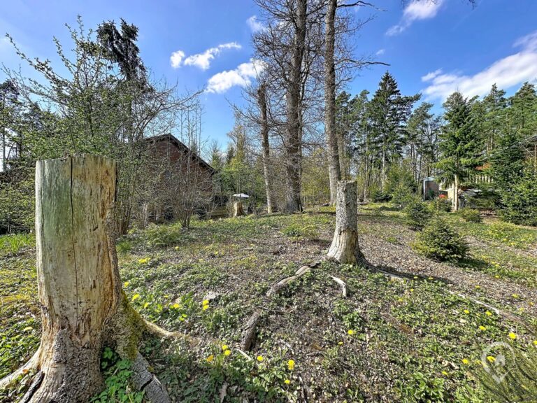 Condrogest - Terrain de 1.695 m² pour chalet / investissement locatif – Erezée