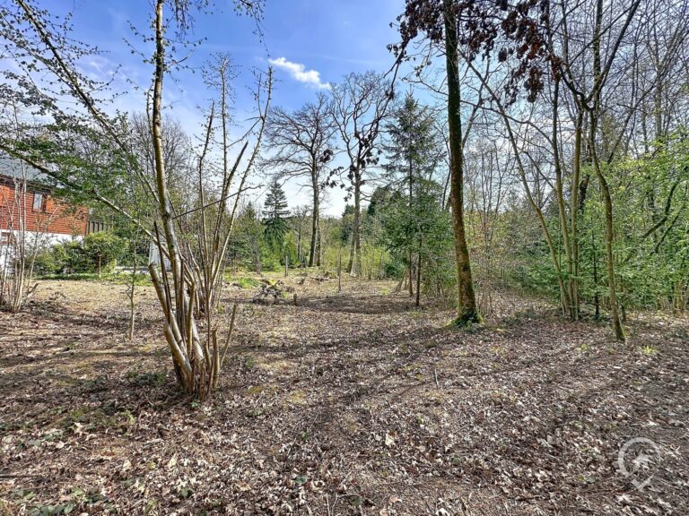 Condrogest - Terrain de 1.695 m² pour chalet / investissement locatif – Erezée