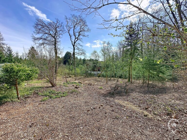 Condrogest - Terrain de 1.695 m² pour chalet / investissement locatif – Erezée