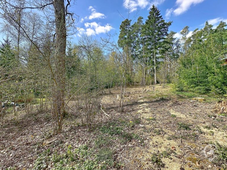 Condrogest - Terrain de 1.695 m² pour chalet / investissement locatif – Erezée