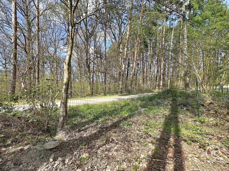 Condrogest - Terrain de 1.695 m² pour chalet / investissement locatif – Erezée