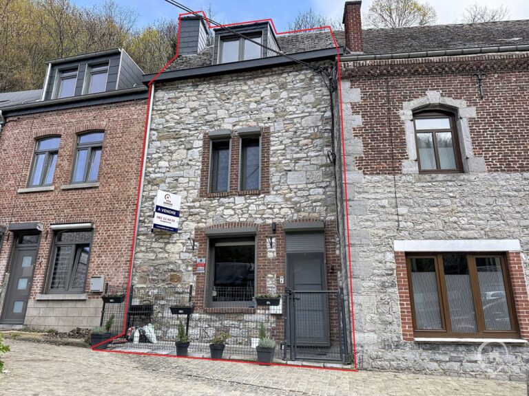 Condrogest - Maison en pierre du pays 2 chambres à vendre à Hastière