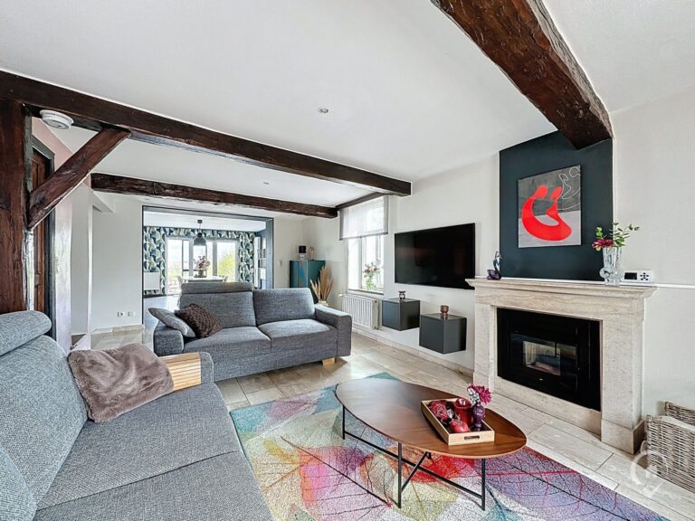 Condrogest - Maison en pierre 3 chambres à vendre à Fays