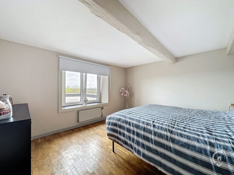 Condrogest - Maison en pierre 3 chambres à vendre à Fays