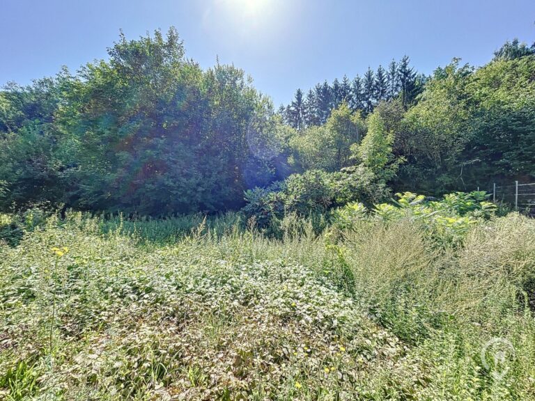 Condrogest - Terrain à bâtir à vendre à proximité du centre de Dinant