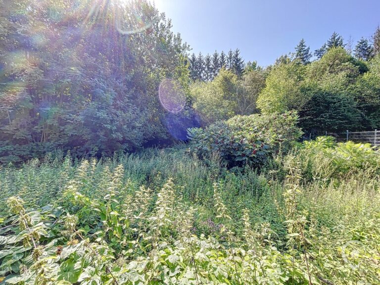 Condrogest - Terrain à bâtir à vendre à proximité du centre de Dinant