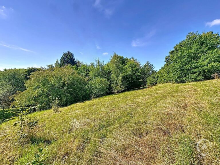 Condrogest - Terrain de 35 ares à vendre à Hastière