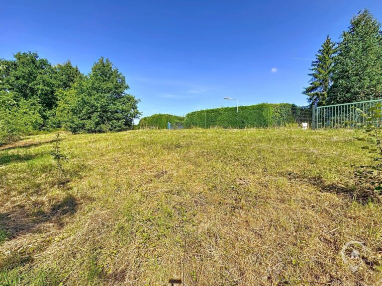 Condrogest - Terrain de 35 ares à vendre à Hastière