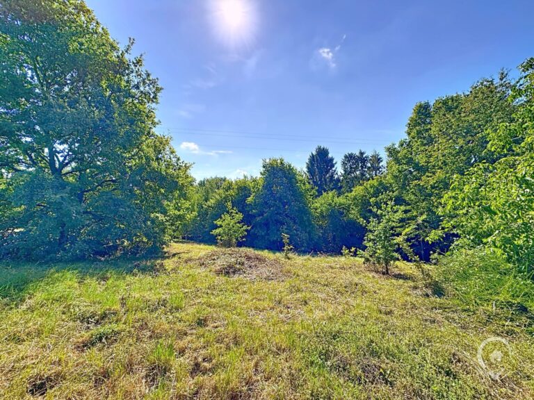 Condrogest - Terrain de 35 ares à vendre à Hastière