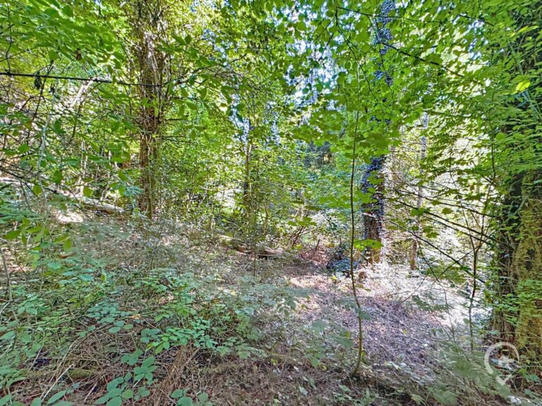 Condrogest - Terrain de 35 ares à vendre à Hastière
