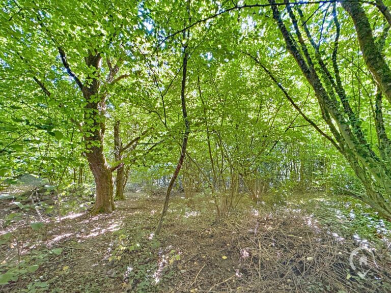 Condrogest - Terrain de 35 ares à vendre à Hastière