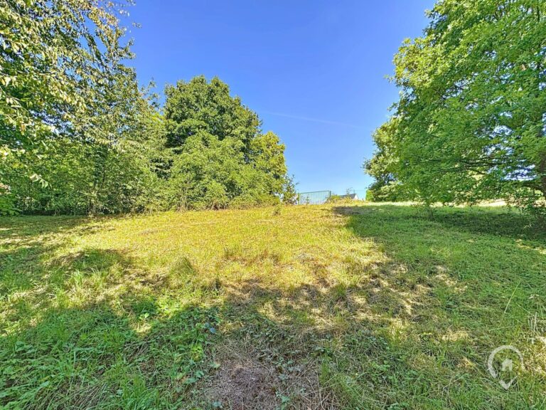 Condrogest - Terrain de 35 ares à vendre à Hastière