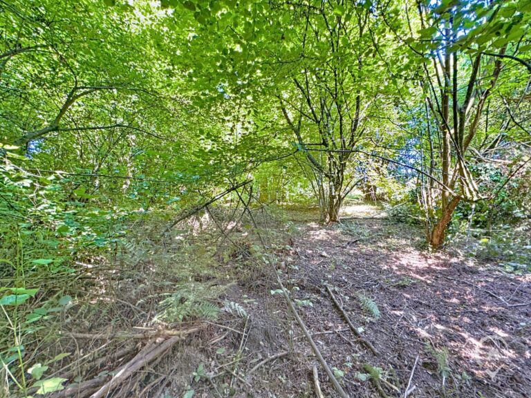 Condrogest - Terrain de 35 ares à vendre à Hastière