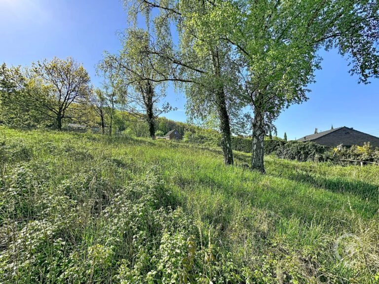 Condrogest - Terrain à lotir de 28 ares pour 4 lots à vendre