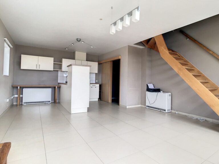 Condrogest - Maison 2 chambres à louer à Harsin