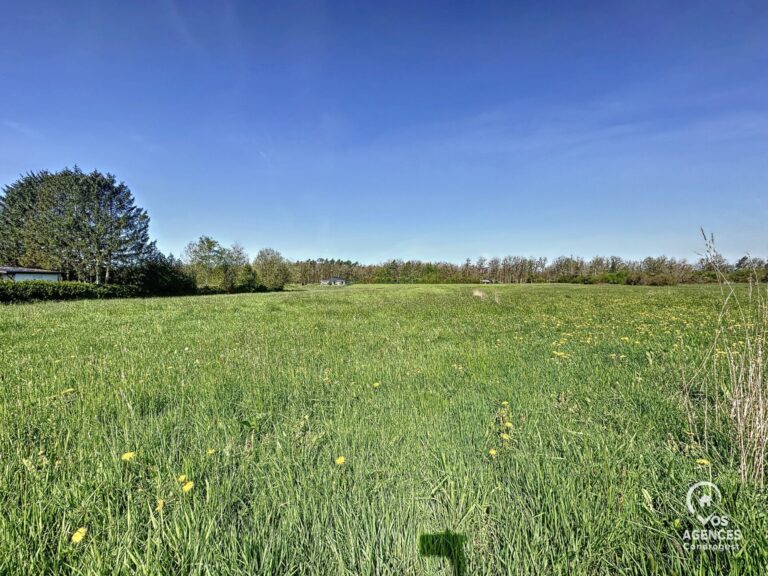 Condrogest - Superbe terrain constructible à vendre à Erezée