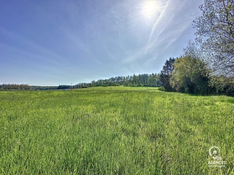 Condrogest - Superbe terrain constructible à vendre à Erezée