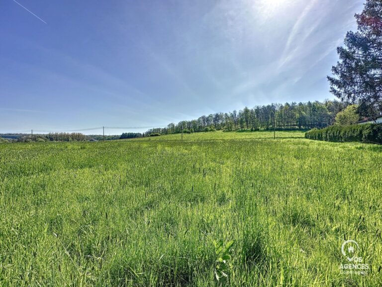 Condrogest - Superbe terrain constructible à vendre à Erezée