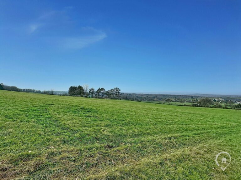 Condrogest - Superbe terrain de 2 hectares en zone agricole à Ménil-Favay