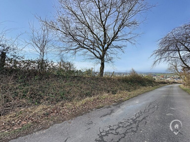 Condrogest - Superbe terrain de 2 hectares en zone agricole à Ménil-Favay