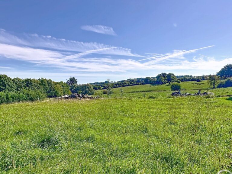 Condrogest - VENDU - Terrain constructible avec superbe vue à vendre à Roy