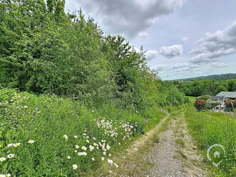 Condrogest - Terrain à vendre avec vue dégagée à Dinant
