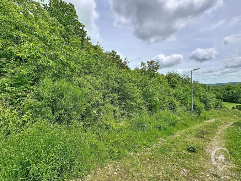 Condrogest - Terrain à vendre avec vue dégagée à Dinant