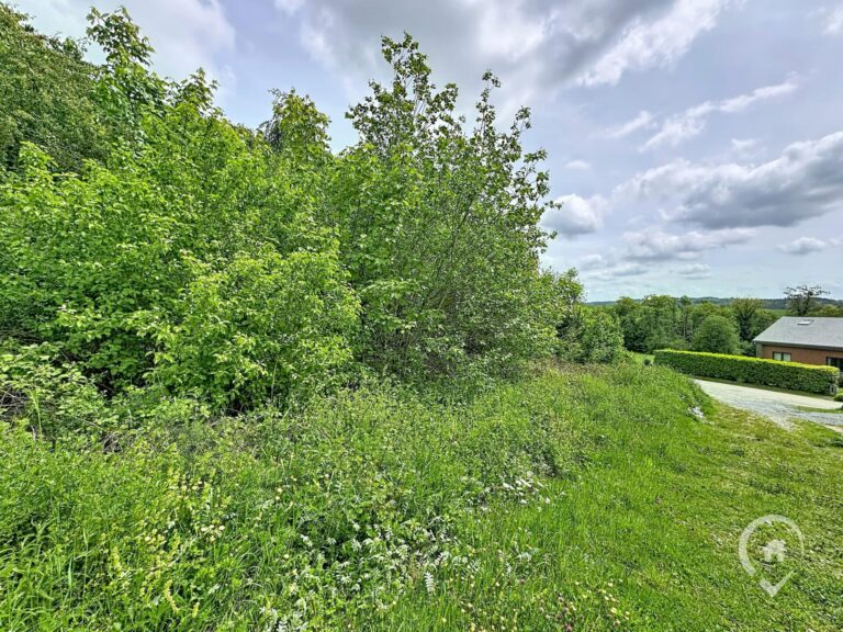 Condrogest - Terrain à vendre avec vue dégagée à Dinant