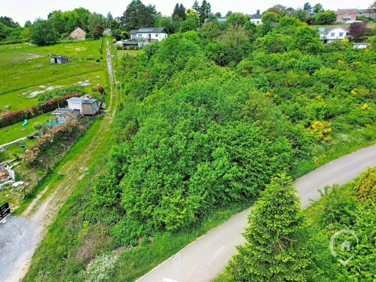 Condrogest - Terrain à vendre avec vue dégagée à Dinant