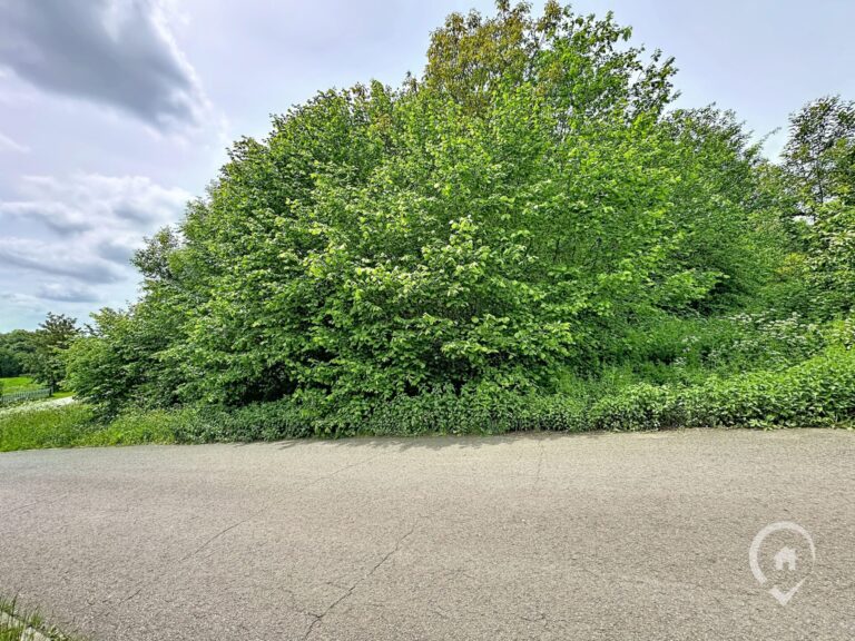 Condrogest - Terrain à vendre avec vue dégagée à Dinant