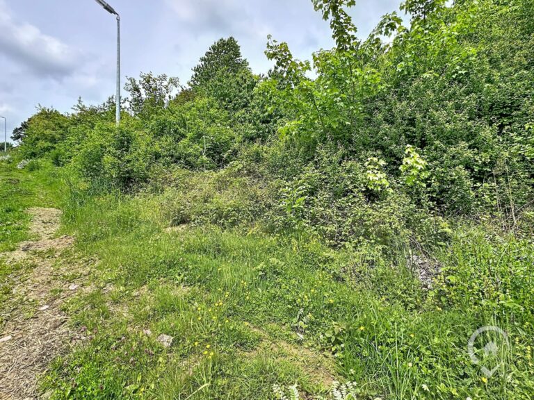 Condrogest - Terrain à vendre avec vue dégagée à Dinant