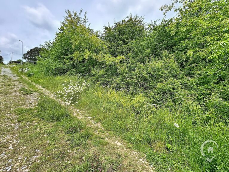 Condrogest - Terrain à vendre avec vue dégagée à Dinant