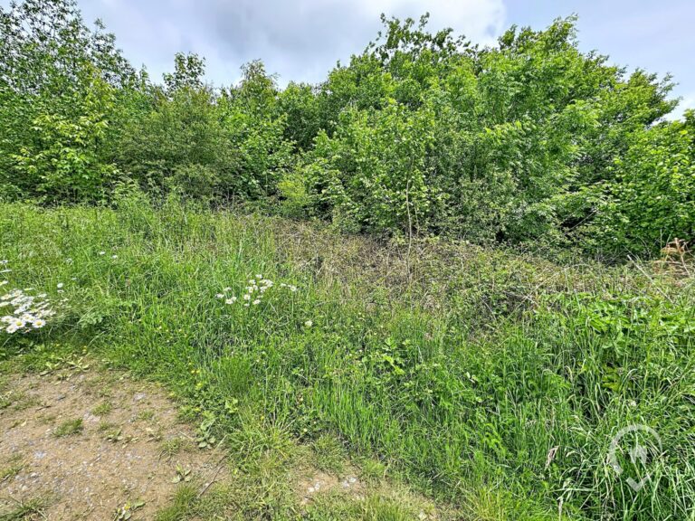 Condrogest - Terrain à vendre avec vue dégagée à Dinant