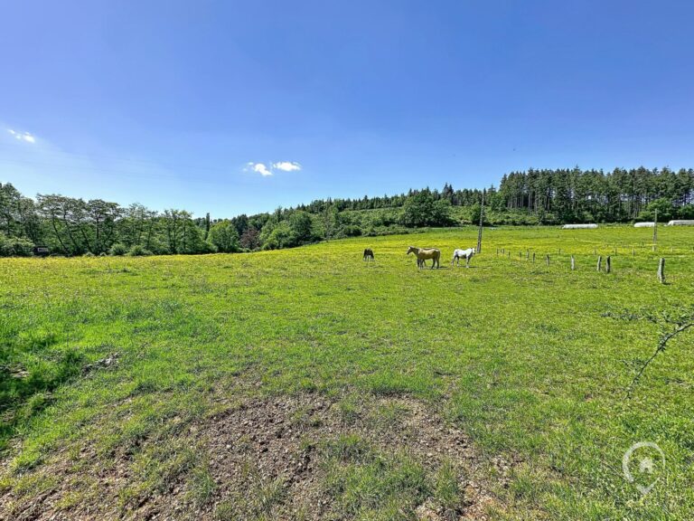 Condrogest - Terrain constructible de plus d'un hectare à vendre à Rendeux