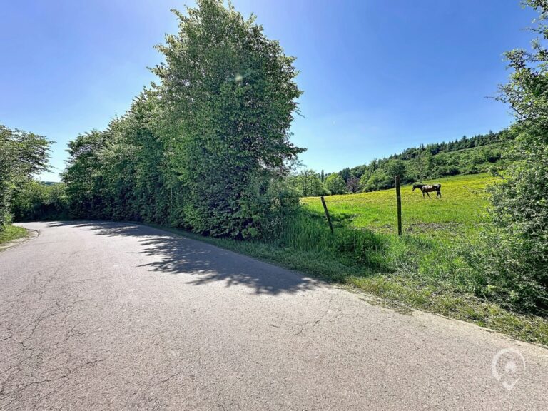 Condrogest - Terrain constructible de plus d'un hectare à vendre à Rendeux