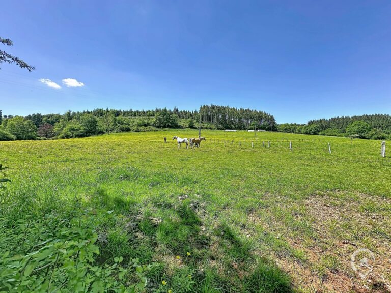 Condrogest - Terrain constructible de plus d'un hectare à vendre à Rendeux