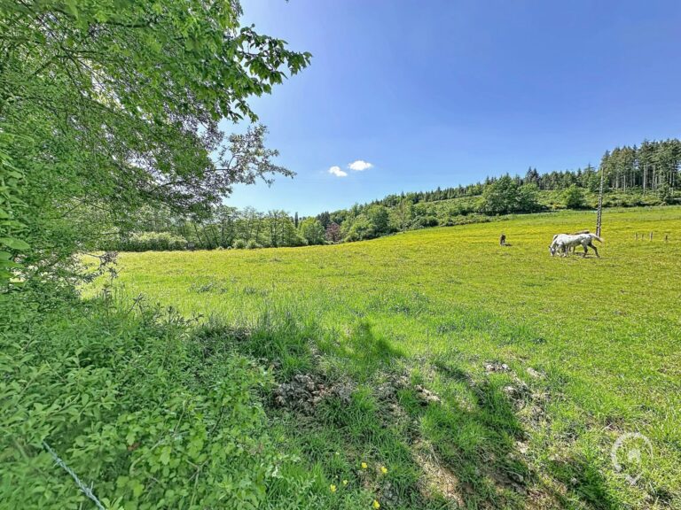 Condrogest - Terrain constructible de plus d'un hectare à vendre à Rendeux