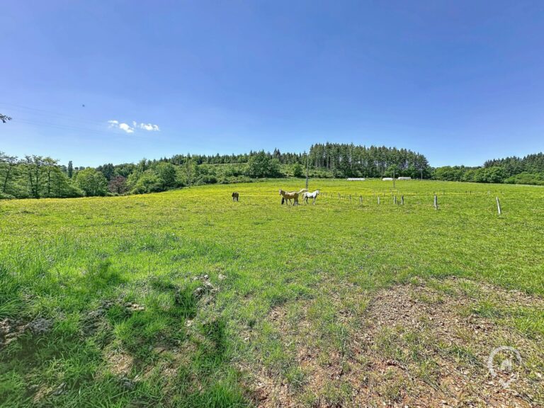 Condrogest - Terrain constructible de plus d'un hectare à vendre à Rendeux