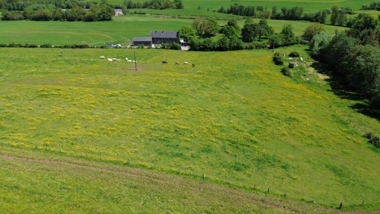 Condrogest - Terrain constructible de plus d'un hectare à vendre à Rendeux