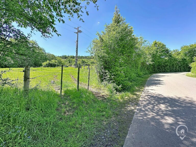 Condrogest - Terrain constructible de plus d'un hectare à vendre à Rendeux