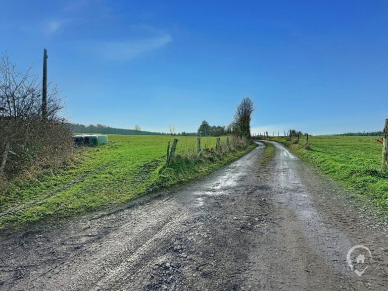 Condrogest - SOUS OPTION !!! Superbe terrain de 2 hectares en zone agricole à Ménil-Favay