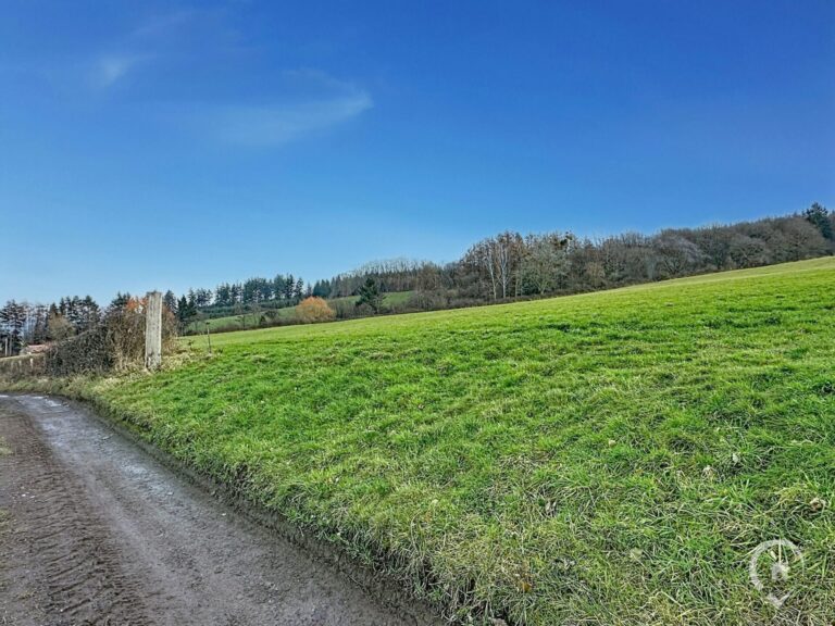 Condrogest - SOUS OPTION !!! Superbe terrain de 2 hectares en zone agricole à Ménil-Favay