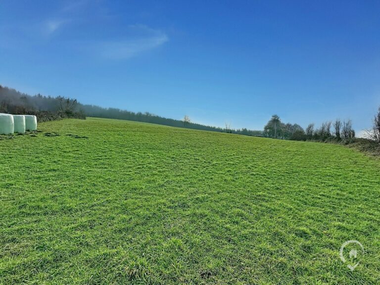 Condrogest - SOUS OPTION !!! Superbe terrain de 2 hectares en zone agricole à Ménil-Favay