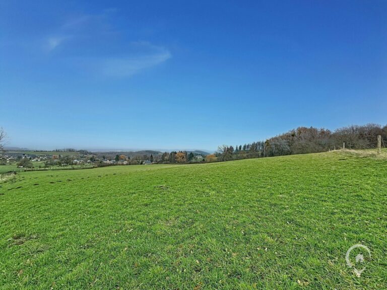 Condrogest - SOUS OPTION !!! Superbe terrain de 2 hectares en zone agricole à Ménil-Favay
