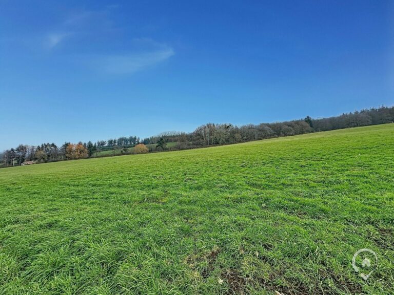 Condrogest - SOUS OPTION !!! Superbe terrain de 2 hectares en zone agricole à Ménil-Favay