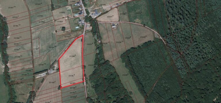 Condrogest - SOUS OPTION !!! Superbe terrain de 2 hectares en zone agricole à Ménil-Favay