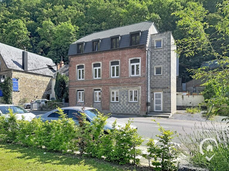 Condrogest - Appartement rénové avec terrasse à vendre à Hastière