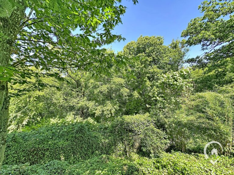 Condrogest - Chalet meublé exploité en gîte à vendre à Dinant