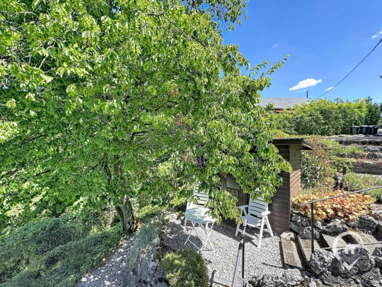 Condrogest - Chalet meublé exploité en gîte à vendre à Dinant