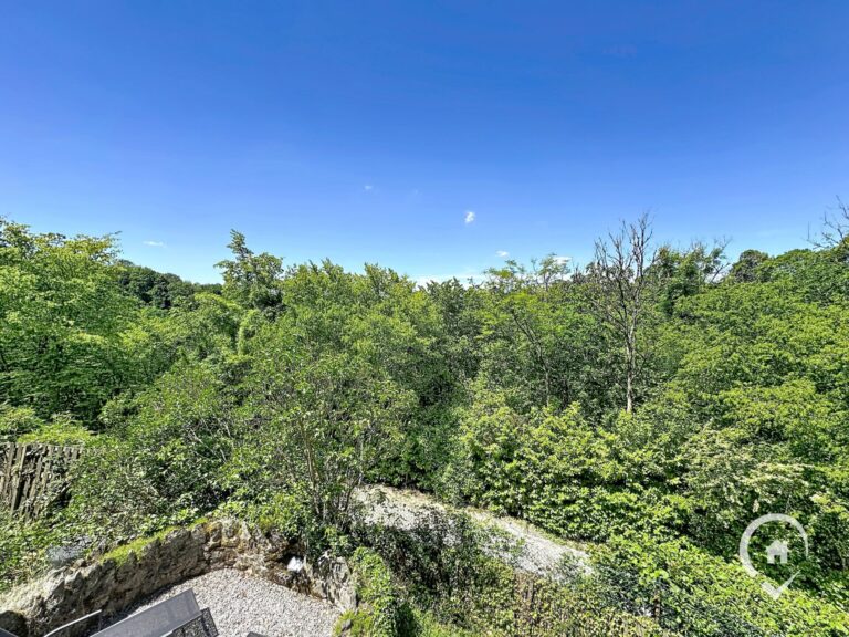 Condrogest - Chalet meublé exploité en gîte à vendre à Dinant